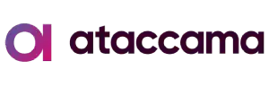 Ataccama Partner